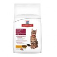 hills cat optimal care 9kg